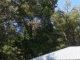 15842  Tunica Trace Saint Francisville, LA 70775 - Image 13257621