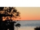 2437 SUNSET VISTA DR Aripeka, FL 34679 - Image 13385466