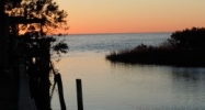 2437 SUNSET VISTA DR Aripeka, FL 34679 - Image 13385487