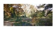 1585 Childress Drive Atlanta, GA 30311 - Image 13389396