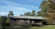 101 Tappel Dr. Level Plains, AL 36322 - Image 13432271