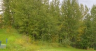 365 N Anna Palmer, AK 99645 - Image 13435029