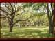 3313 FM 109 Columbus, TX 78934 - Image 13444244