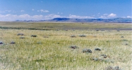 30 WyTex Medicine Bow, WY 82329 - Image 13485930