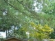 1026 Barnes Cir Monticello, MS 39654 - Image 13673350