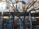 4140 N Franklin St Philadelphia, PA 19140 - Image 13707251