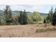 Hileman RD 2 Marcola, OR 97454 - Image 13722813