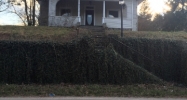 215 Madison Ave Madison, WV 25130 - Image 14125396