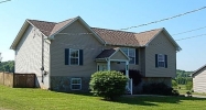 3220 Trevor Dr Louisville, TN 37777 - Image 14170810