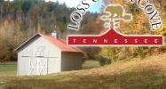 664 Fingerboard Rd Reliance, TN 37369 - Image 14407248