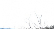 3801 Modern Industries Pkwy Chattanooga, TN 37419 - Image 14407253
