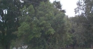 7411 Ehrlich Rd Tampa, FL 33625 - Image 14412492