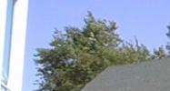 4920 Lincoln Ave Evansville, IN 47715 - Image 14412499