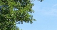 2320 Beacon Street Fort Wayne, IN 46805 - Image 14412523