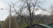 4605 W Jefferson Blvd Fort Wayne, IN 46804 - Image 14412521