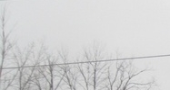1415 W Coliseum Blvd Fort Wayne, IN 46808 - Image 14412518