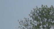 4246 Franklin Road Indianapolis, IN 46226 - Image 14415041