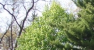 1651 Centre Avene Portage, MI 49024 - Image 14425653