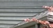 8150 Moorsbridge Rd Portage, MI 49024 - Image 14425655