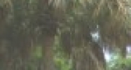 8009 Key West Conch Dr Riverview, FL 33578 - Image 14426278