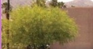 74527 Highway 111 Palm Desert, CA 92260 - Image 14427120