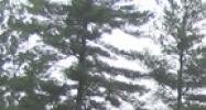 10 Turkey Hill Rd Belchertown, MA 01007 - Image 14427247