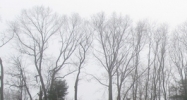 49 Cadwell Drive Springfield, MA 01104 - Image 14427251