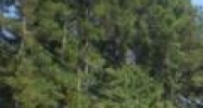 Ga Highway 166 and Chapel Hill Road Douglasville, GA 30135 - Image 14429503