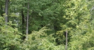 44935, 44905, 44925, 44935 Tiffany Way Great Mills, MD 20634 - Image 14430027