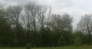 5355 Battlefield Pkwy Ringgold, GA 30736 - Image 14430138