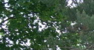 401 W Morgan Rd Ann Arbor, MI 48108 - Image 14430260