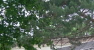 401 W Morgan Rd Ann Arbor, MI 48108 - Image 14430252