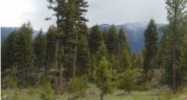 331.58 Acres Cottonwood Lakes Road Seeley Lake, MT 59868 - Image 14430309