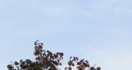 5 Branch St Methuen, MA 01844 - Image 14430562