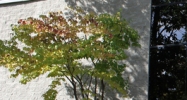 1 Branch St Methuen, MA 01844 - Image 14430563