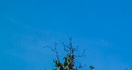0 Greenleaf Circle Hammond, LA 70403 - Image 14430598