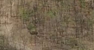 28331 HAGGERTY RD Novi, MI 48377 - Image 14433427