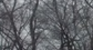 NWC Milford Rd. &  Lone Tree rd. Novi, MI 48377 - Image 14433432