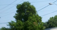 620  N Perry St Montgomery, AL 36104 - Image 14439196