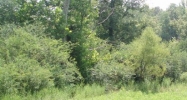 Doc Norton Maryville, TN 37803 - Image 14441380