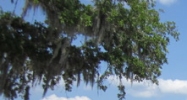 3020 Lamberton Blvd Orlando, FL 32825 - Image 14441674