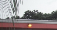 1724 S. Bumby Ave. Orlando, FL 32806 - Image 14441634