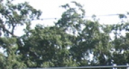 5639 Hansel Ave Orlando, FL 32809 - Image 14441644