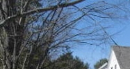 147 Main Street Freeport, ME 04032 - Image 14441842