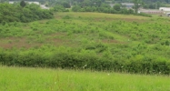 1 Godsey Dr Jasper, TN 37347 - Image 14442194