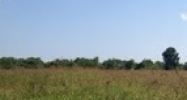 1001 Behrman Hwy Gretna, LA 70056 - Image 14442434