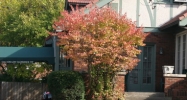 3711 N Washington Blvd Indianapolis, IN 46205 - Image 14443267