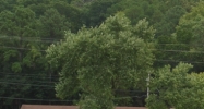 181 U.S. 41 Ringgold, GA 30736 - Image 14444309