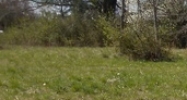 1359 Mack Smith Rd Rossville, GA 30741 - Image 14444316