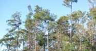 0 Dalwill Drive Mandeville, LA 70471 - Image 14444441